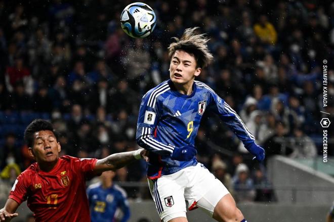 他的回答 他的回答