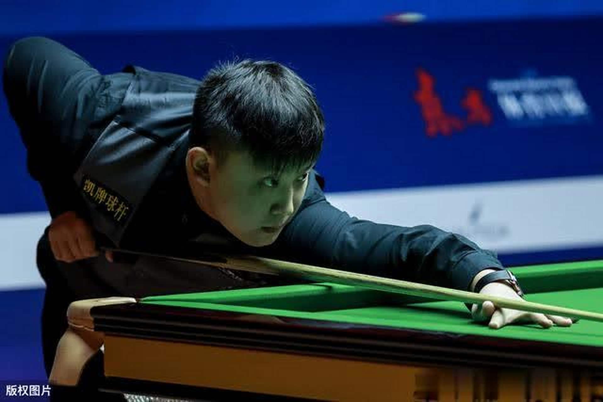 他们特地引 他们特地引